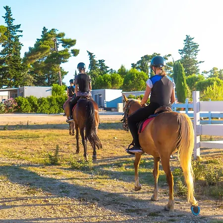 Zaton Holiday Resort Glamping Village 럭셔리텐트 *