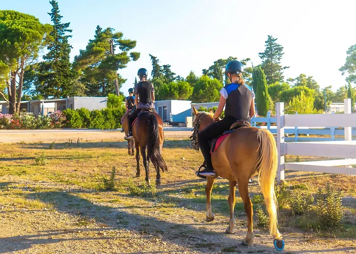 Zaton Holiday Resort Glamping Village 럭셔리텐트 *